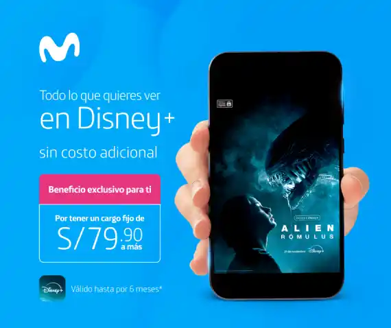 Boletin - Moviles 79 Nov 2