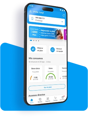 Descripcion de la imagen