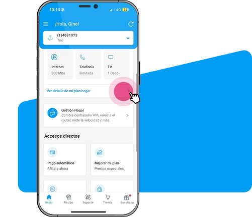 Descripcion de la imagen
