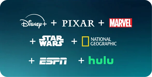 Disney+ TV