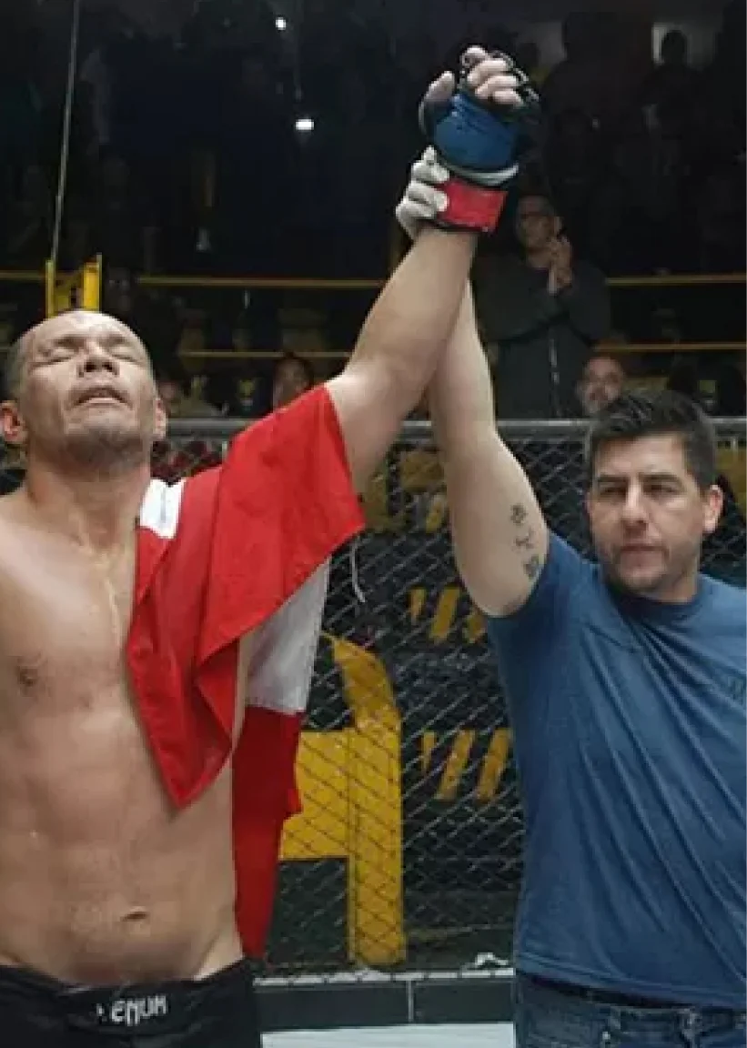 Artes marciales mixtas Artes marciales mixtas