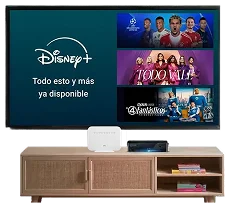 Disney Plus