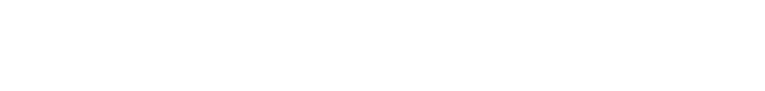 Disney+ Plan Premium